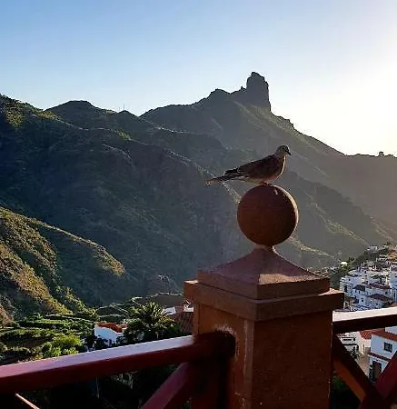 El Rinconcito De * クルス・デ・テヘーダ