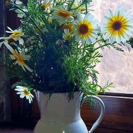 El Rinconcito De * Tejeda (Gran Canaria)